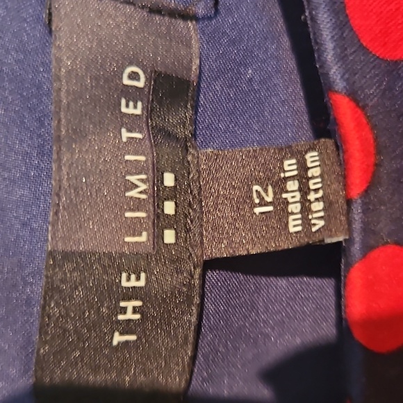 The Limited Large Red and Blue Polka Dot Dress - Picture 2 of 6